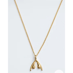 WOMANIZER COLLIER CLITORIS OR 18 CARATS